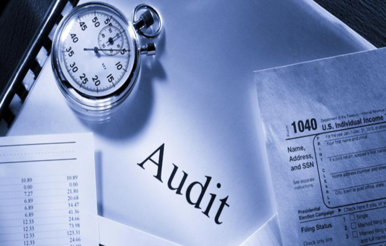 Types of audits for businesses in India – An Overview